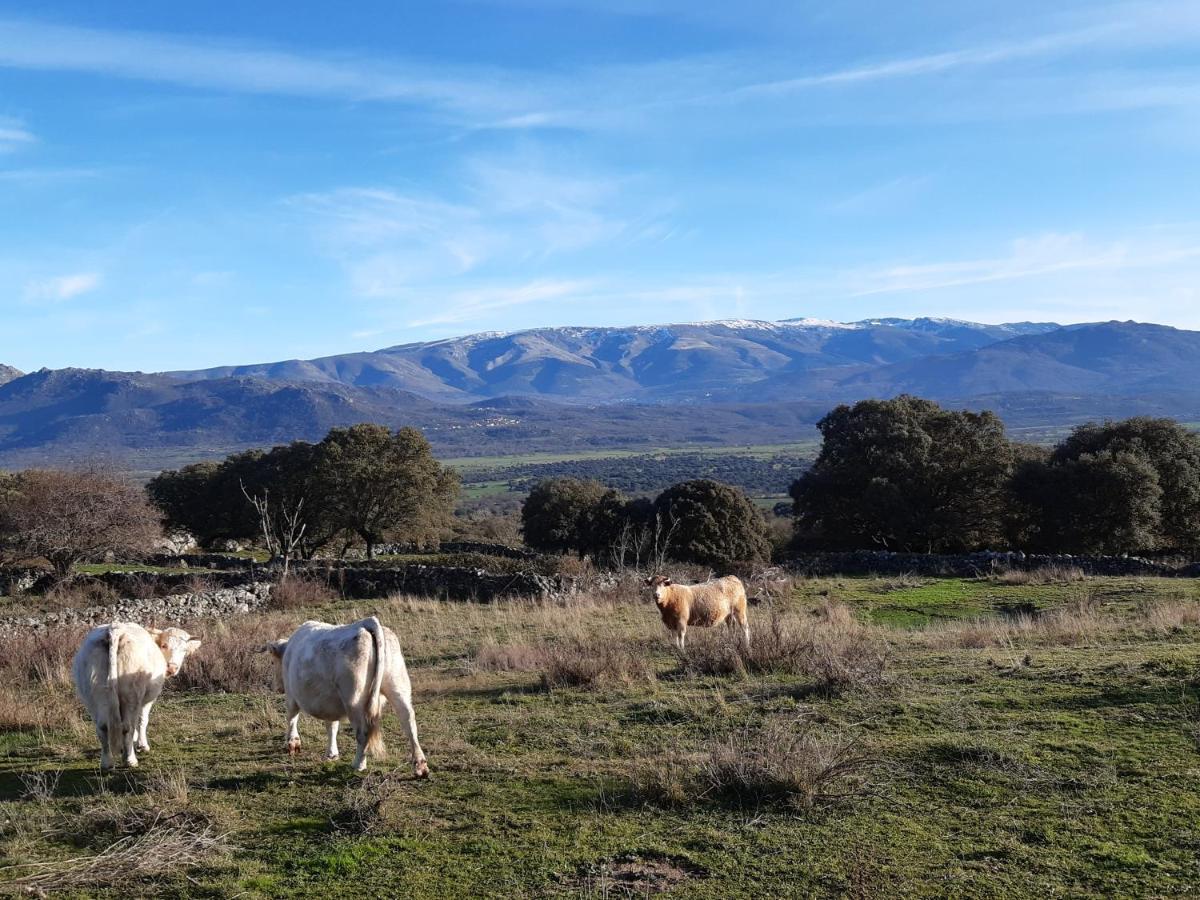 Casa Rural Mi Descanso Valdefuentes de Sangusin Exterior foto